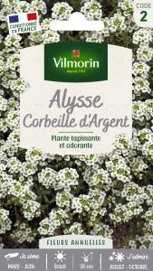 Alysse Corbeille d'Argent